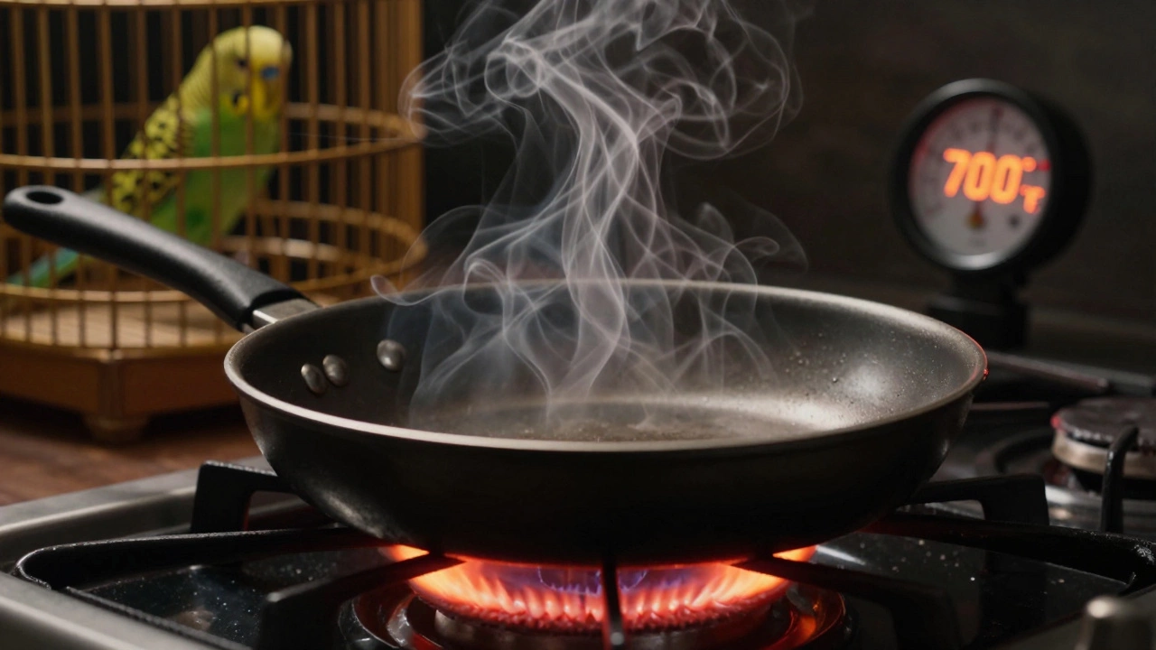 Empty non-stick pan overheating on stove with temperature gauge showing 700°F and birdcage in background.